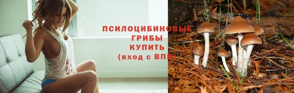 соль ск Карпинск