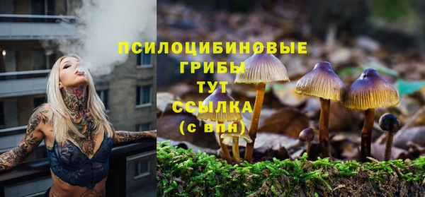 2c-b Касимов