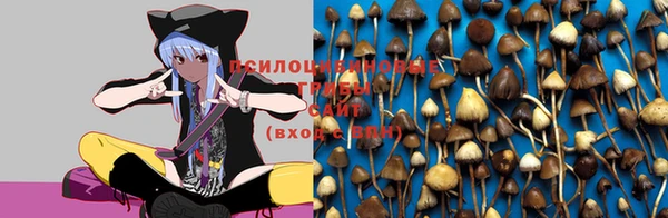круглые Карталы
