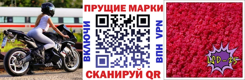Купить закладки  Дигора  Марки N-bome 1,8мг 